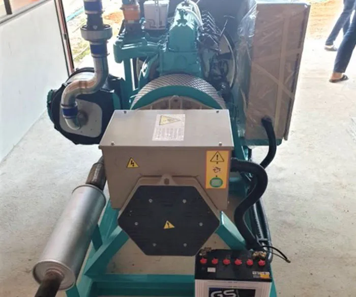 Biogas Engine