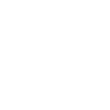 ic-pin