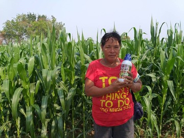 Thaiagrotosic(10)