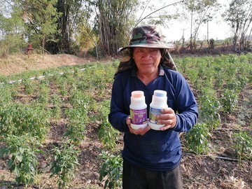 Thaiagrotosic(11)