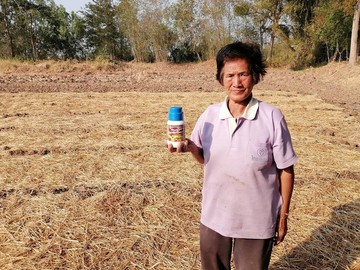 Thaiagrotosic(12)