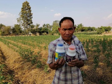Thaiagrotosic(13)
