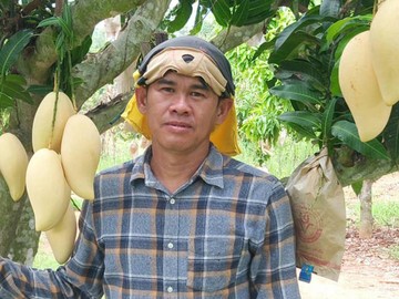Thaiagrotosic(17)