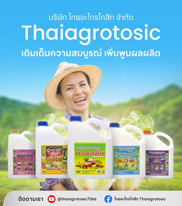 thaiagrotosic-mobile-01