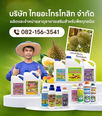 thaiagrotosic-mobile-02