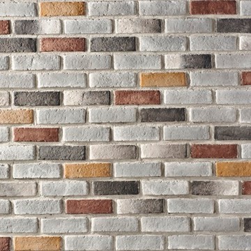 538-115Chapterone