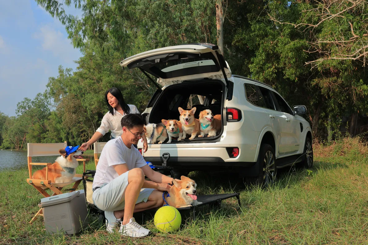 FordLoveYourPetDay(2)