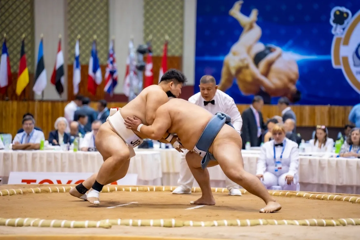 Sumo51