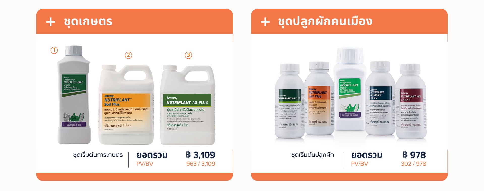 ชุดปลูกผักคนเมือง