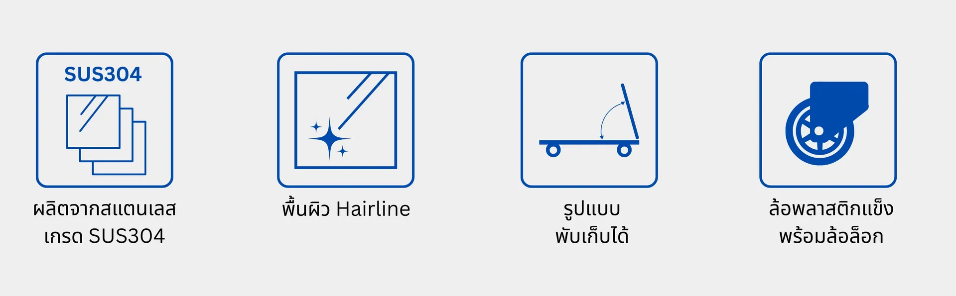 ราวคนพิการ(1)