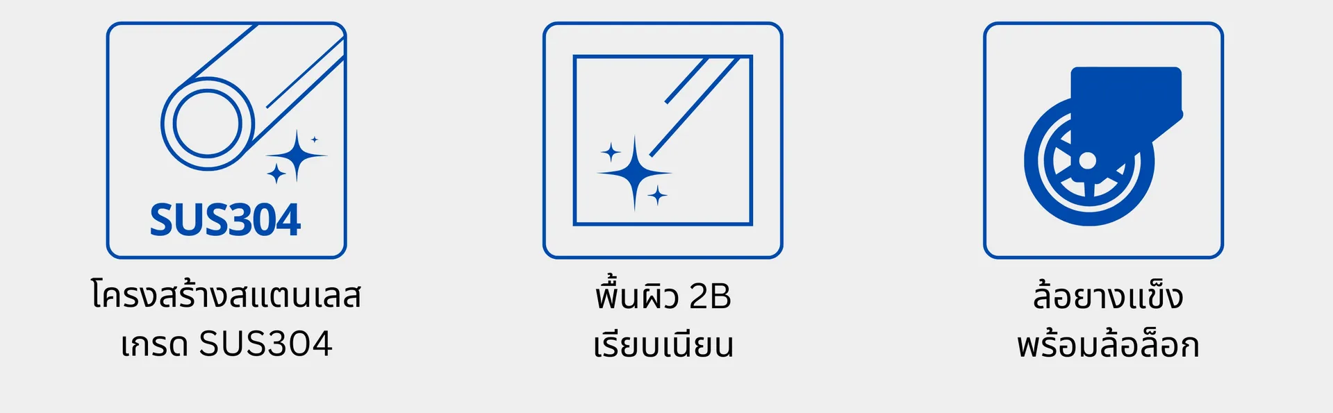 ราวคนพิการ