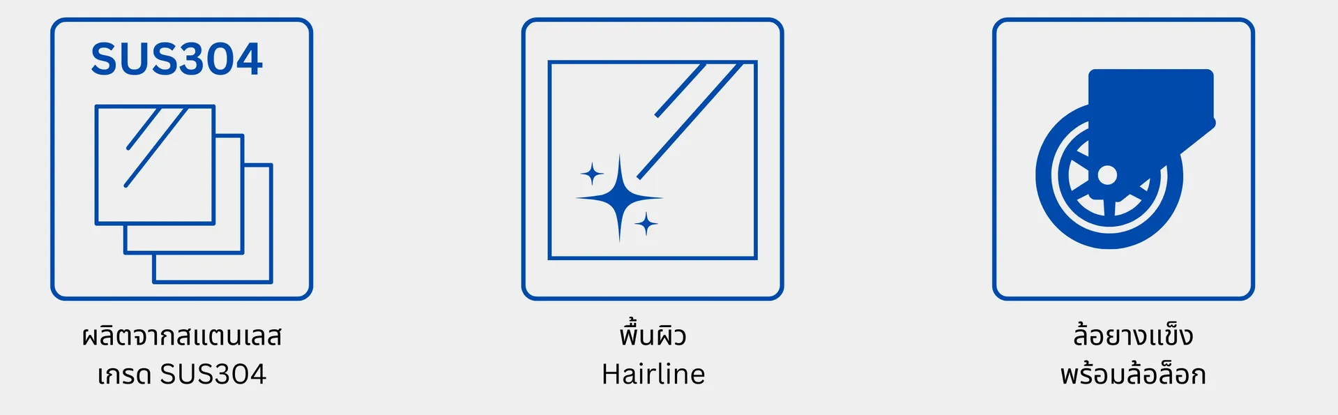ราวคนพิการ