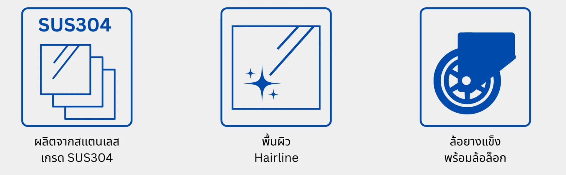 ราวคนพิการ