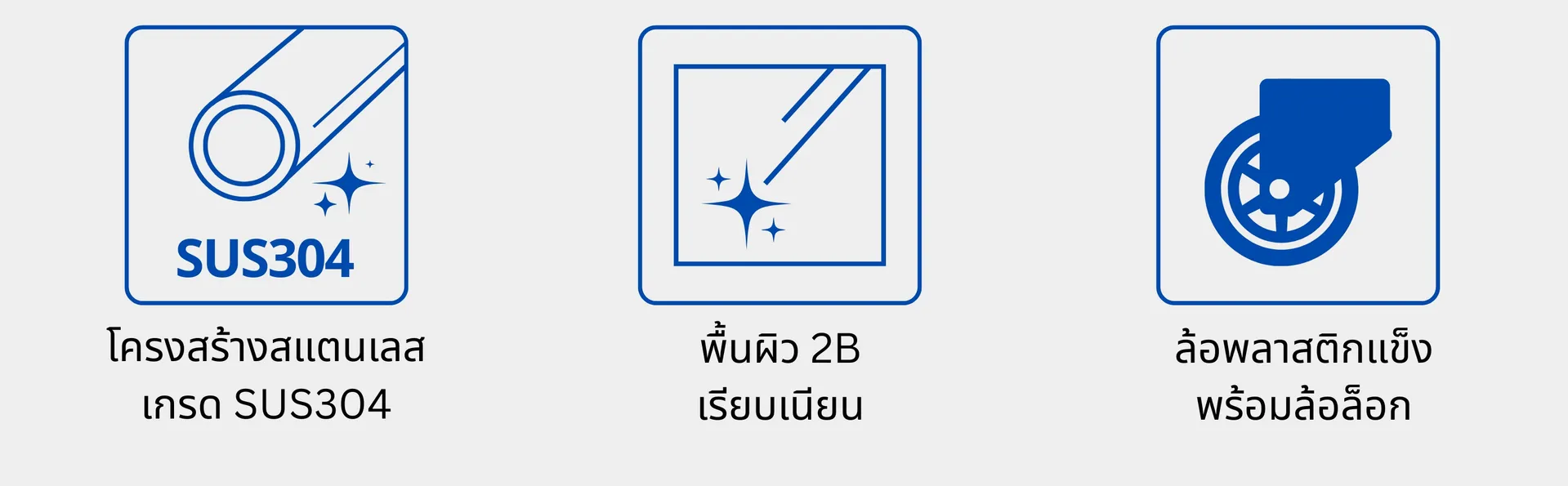 ราวคนพิการ