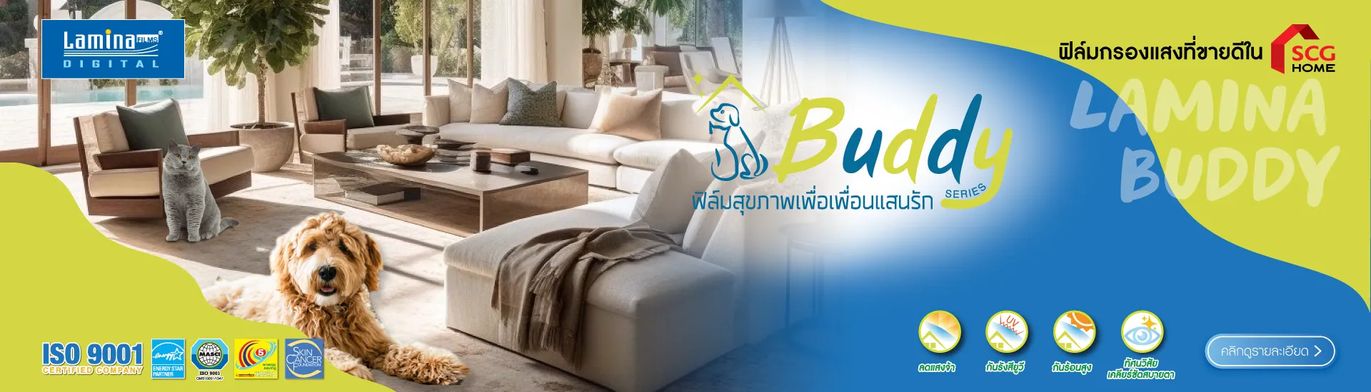 BuddySeries