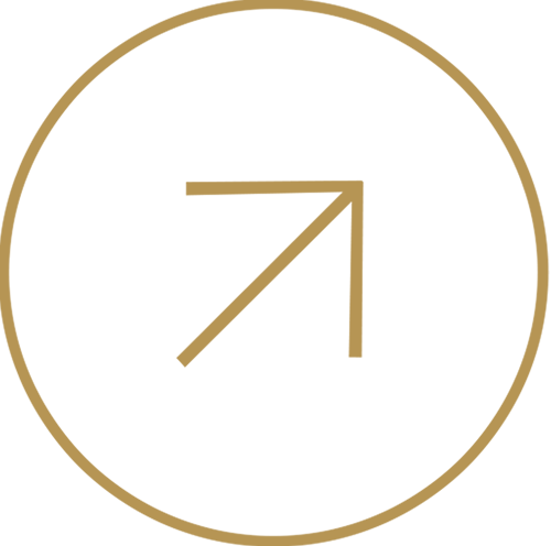 arrow-next-copy