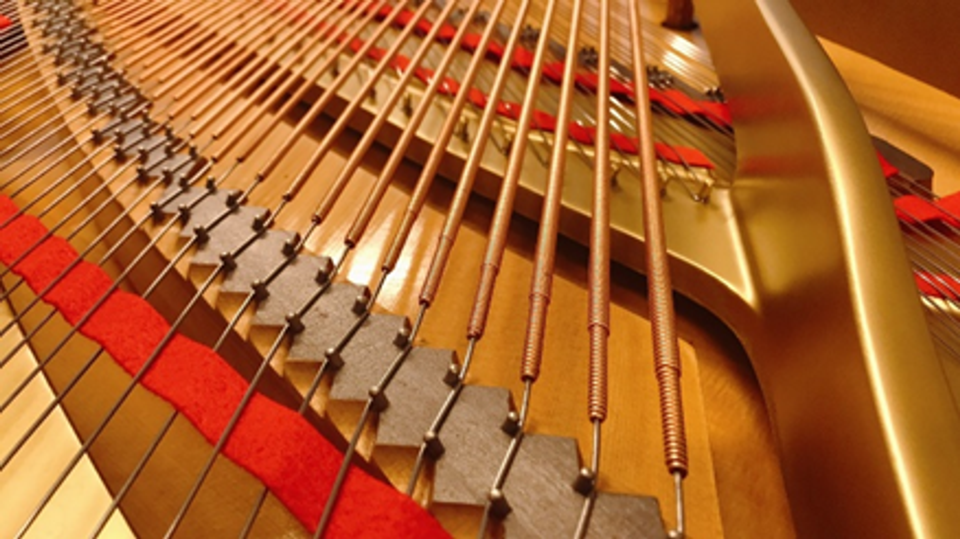 image(15)