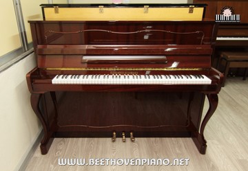 ALEXANDER113W72484