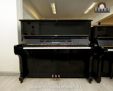 KAWAIBL6195580