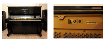 U30BI(3)