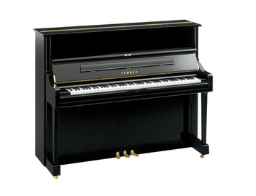 YAMAHAU1PE