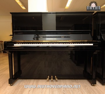YAMAHAU30BI4514528