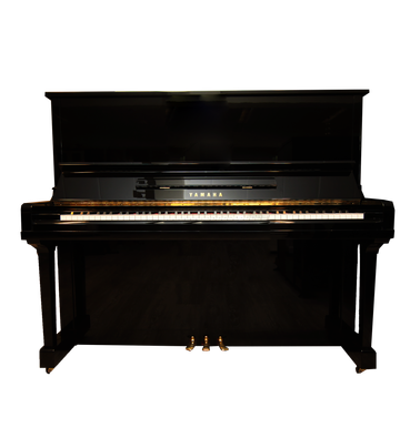 YAMAHAU30BL