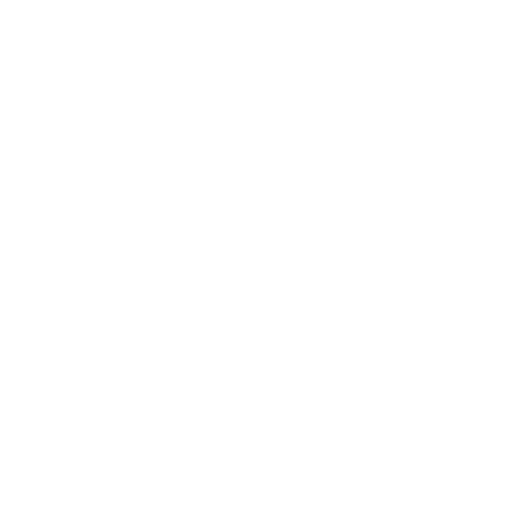 tiktok2