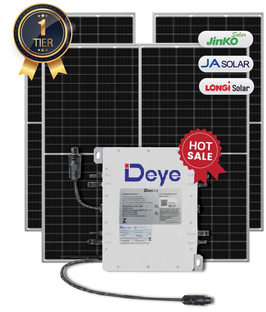 DEYE1