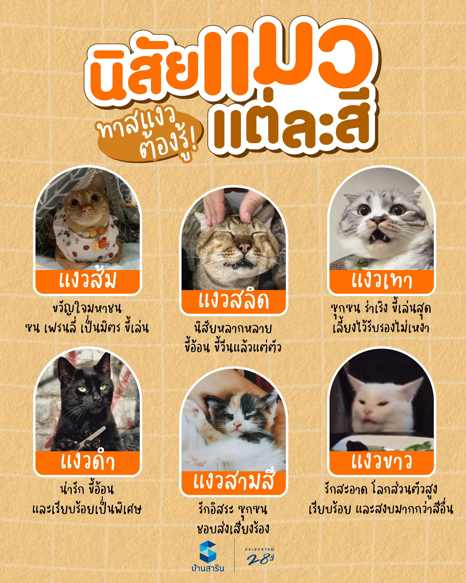baansarin-cat-style