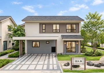 Website-07