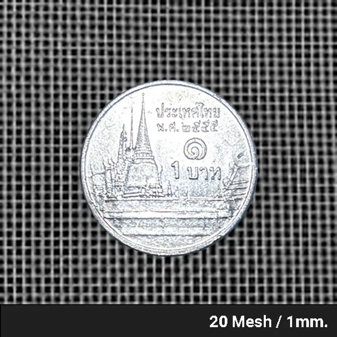 20mesh1mm