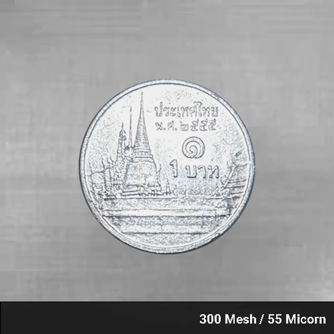 300mesh55micron