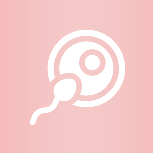 icon-service02