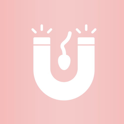 icon-service04