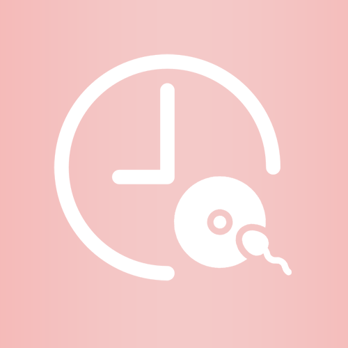 icon-service05