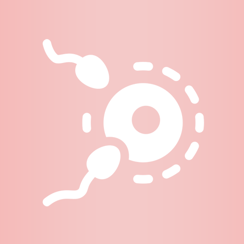 icon-service06