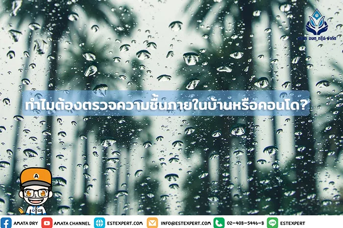 ทำไมต้องตรวจความชื้นภายในบ้านหรือคอนโด