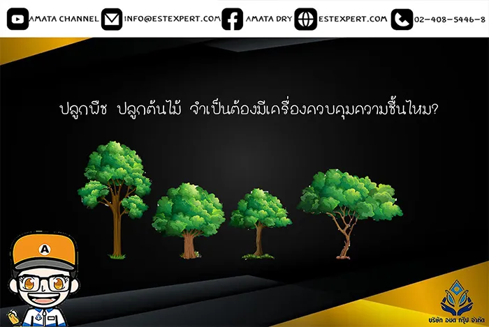 ปลูกพืช-ปลูกต้นไม้