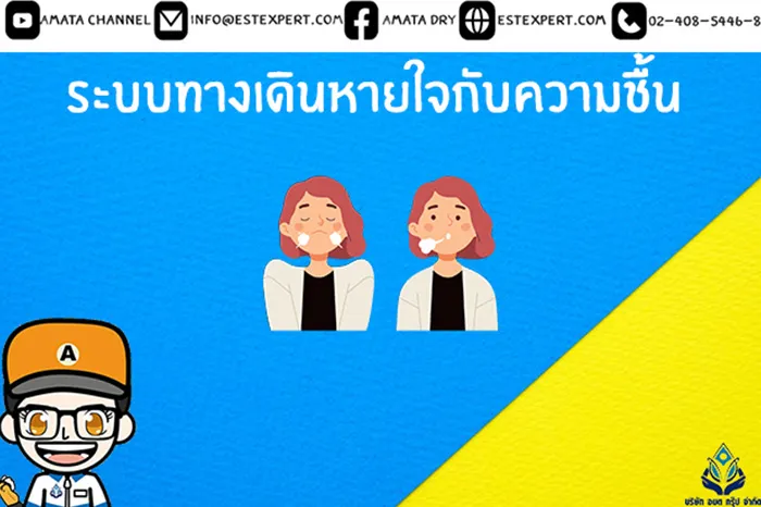 ระบบทางเดินหายใจกับความชื้น