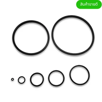 O-Ring