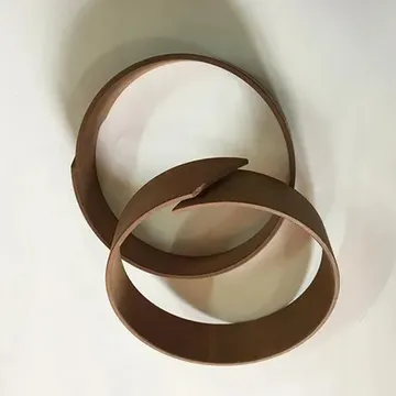 Wear-Ring