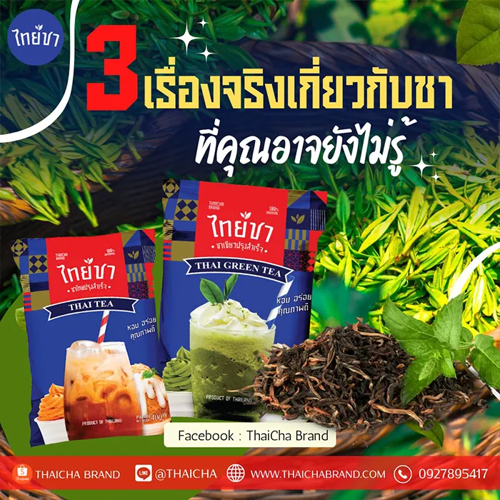 3-เรื่องจริงเกี่ยวกับชา