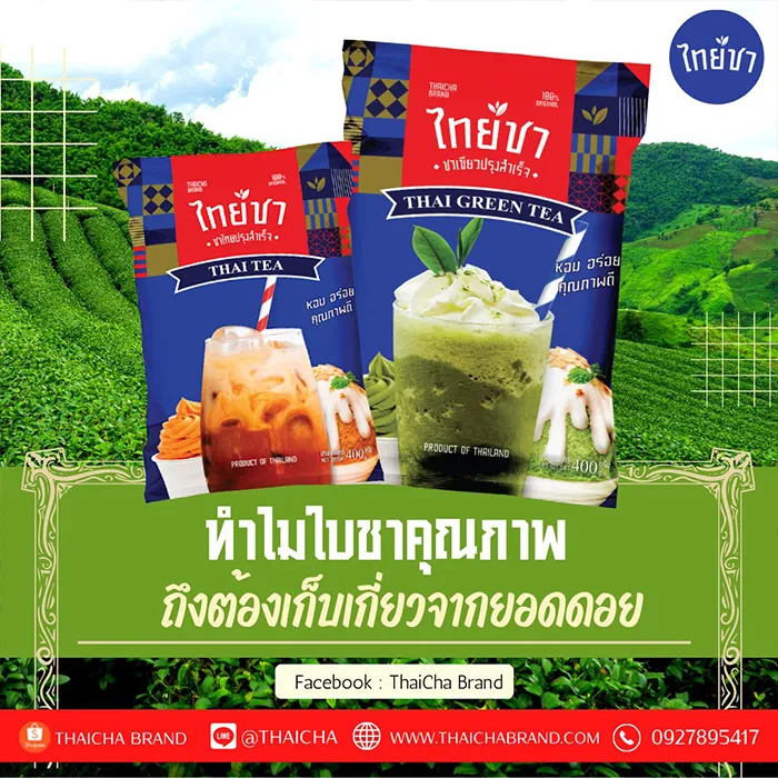 ทำไมใบชาคุณภาพถึงต้องเก็บเกี่ยวจากยอดดอย