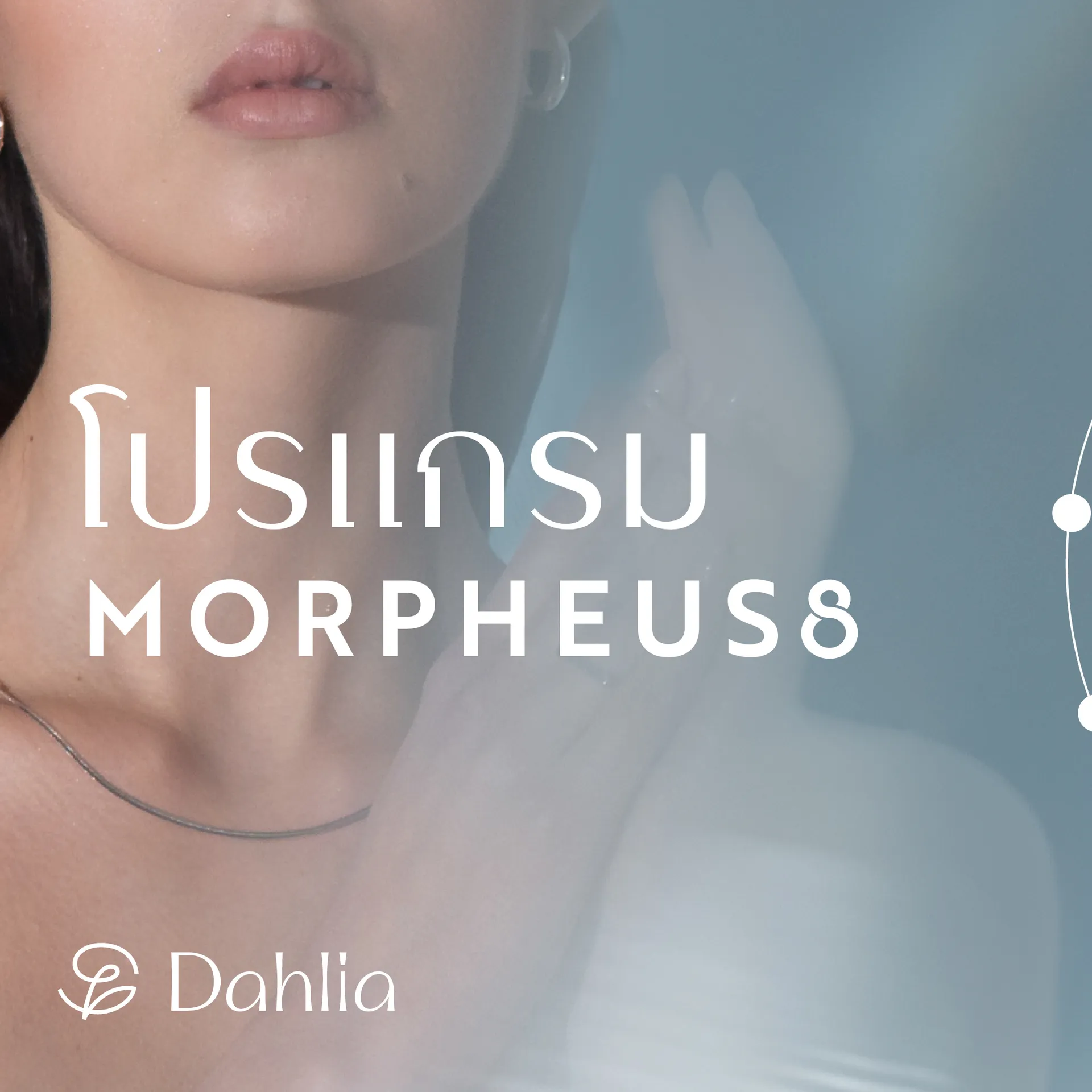 FBmorpheuscontent-01