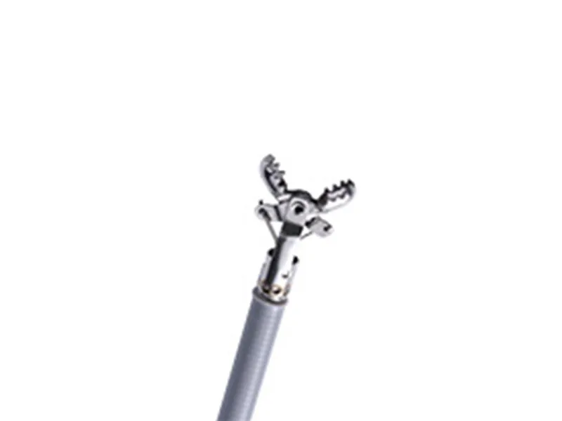 Biopsy(3)