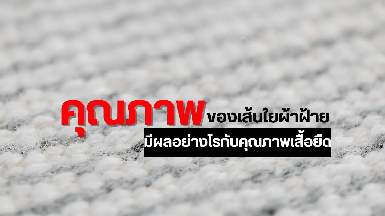 คุณภาพของเส้นใยผ้าฝ้ายมีผลอย่างไรกับคุณภาพเสื้อยืด(1)