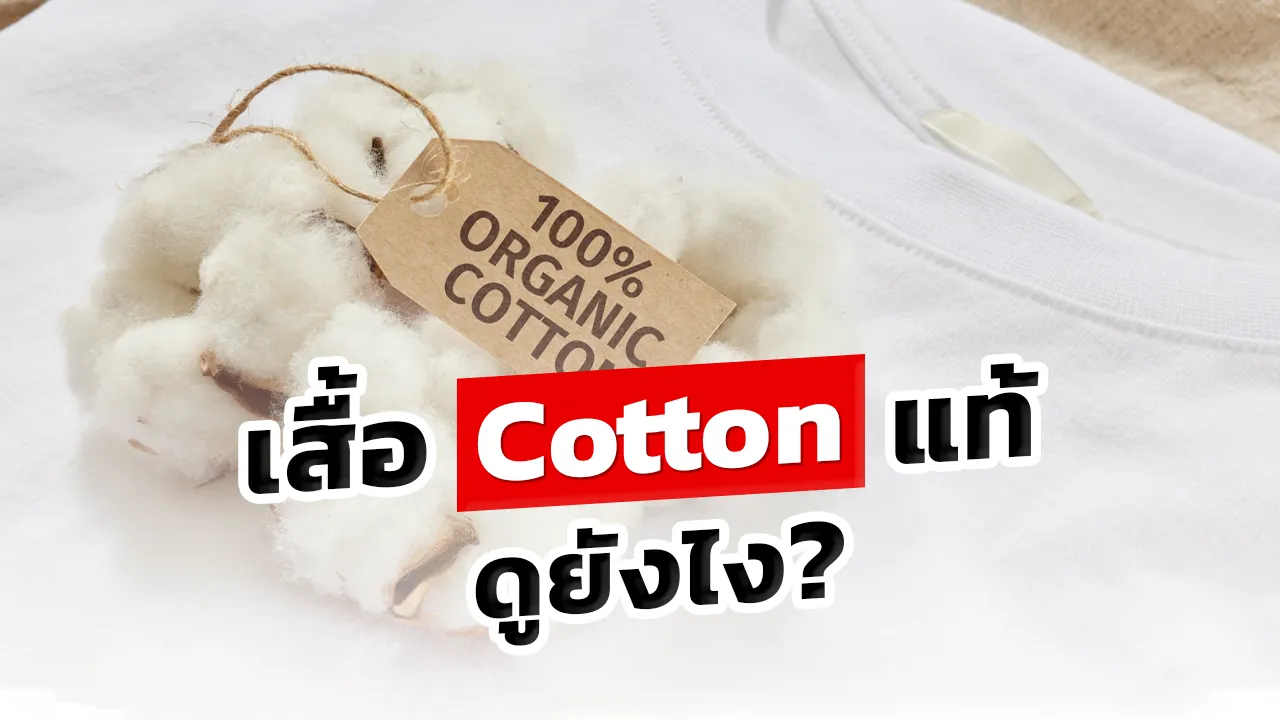 เสื้อcottonแท้ดูยังไง
