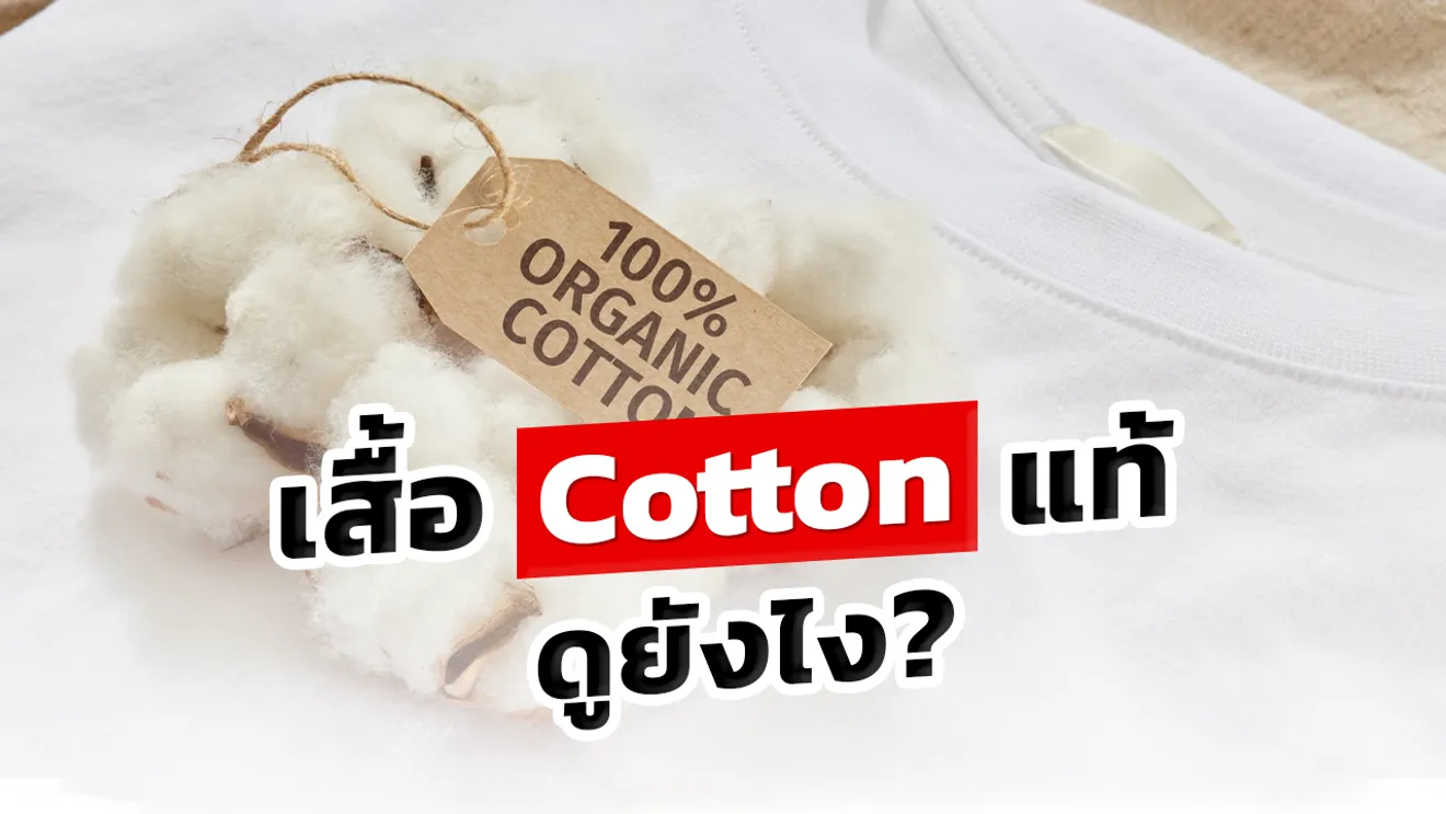 เสื้อcottonแท้ดูยังไง