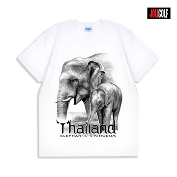 074ช้างแก่White